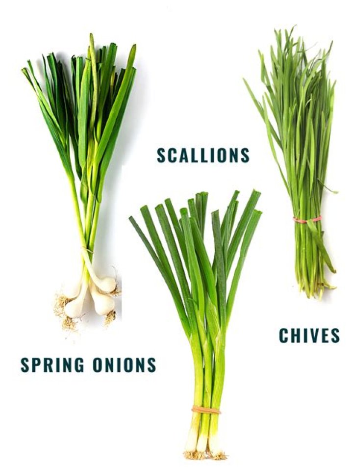 Are leeks the same as wild garlic?