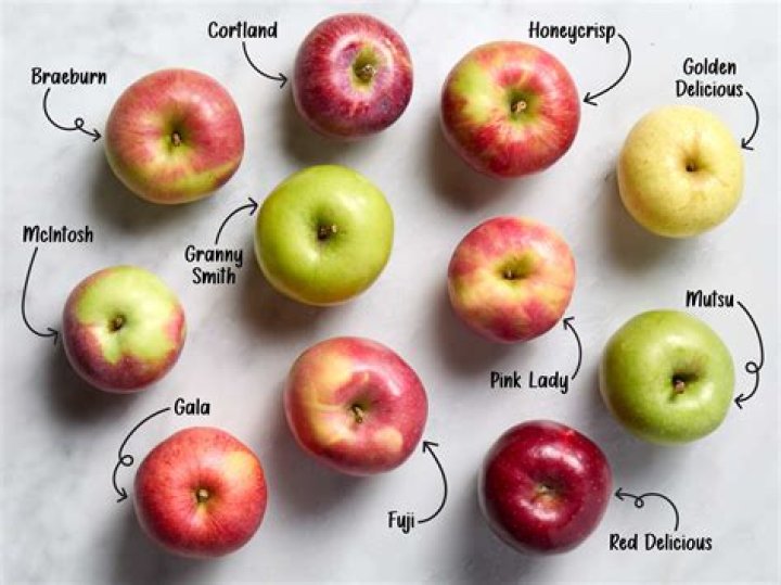 Do apples have a gender?