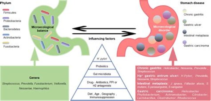 How is autoimmune gastritis diagnosed?