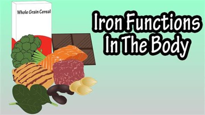 What takes iron out of the body?